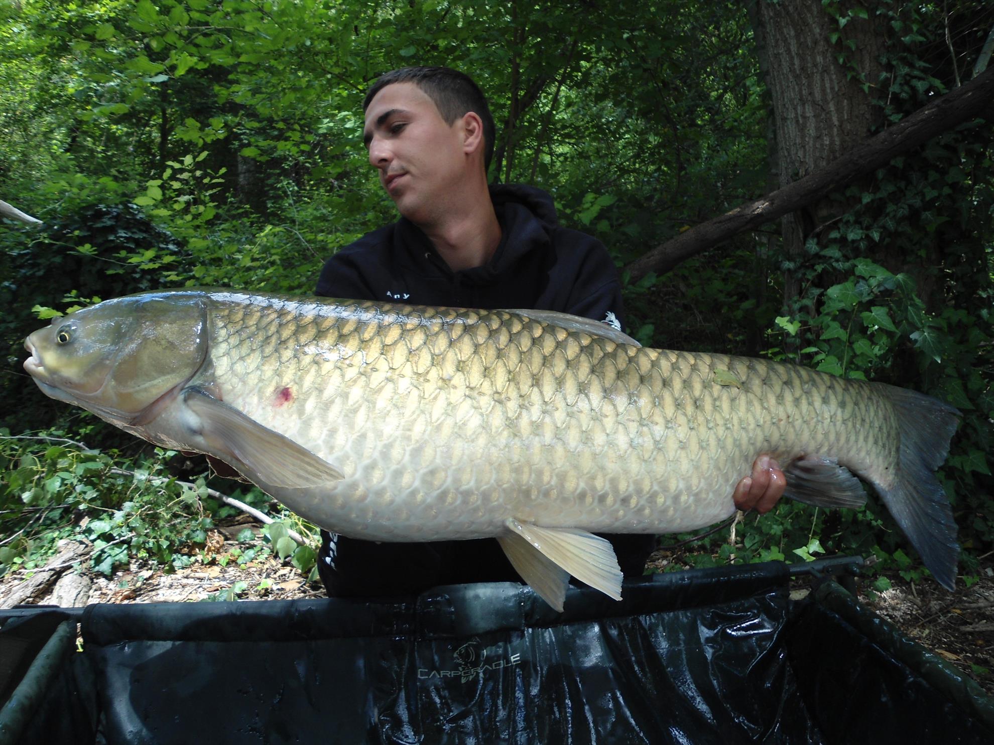 Ape libere cu Any Water - dsc04623.JPG